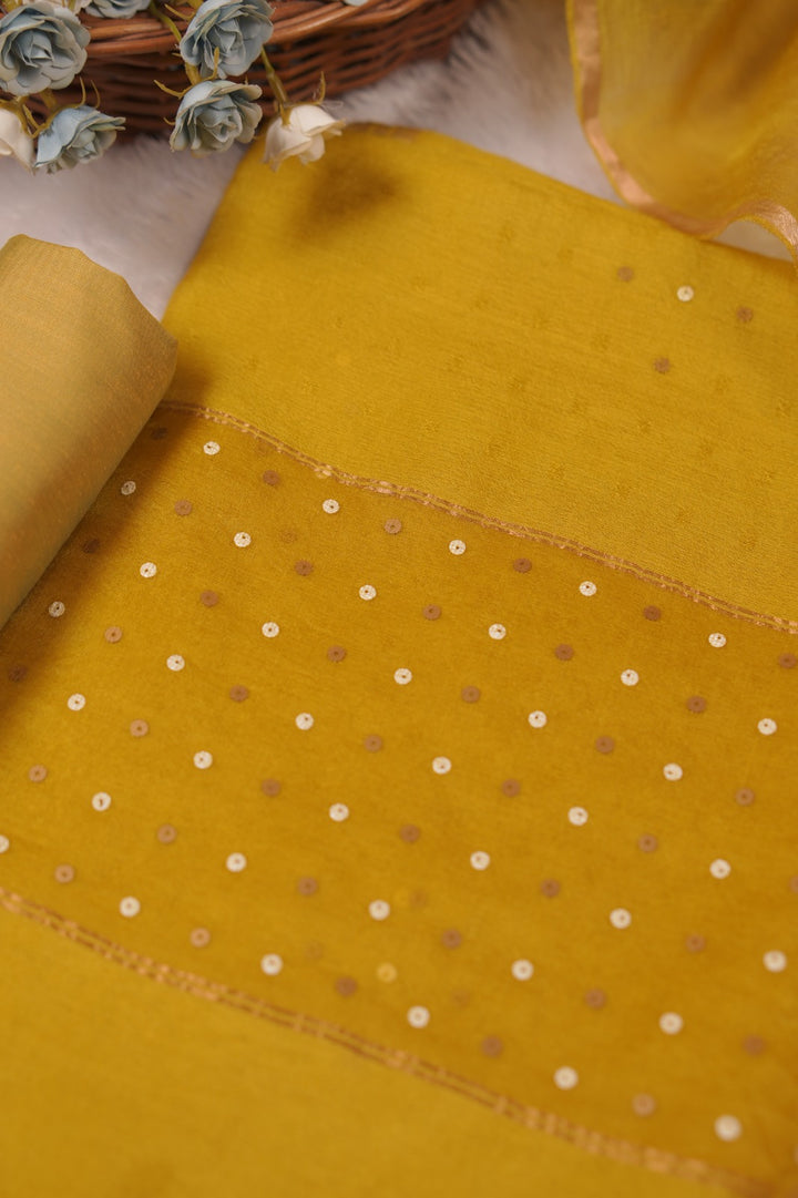 Tussar Organza Salwar TSS5599