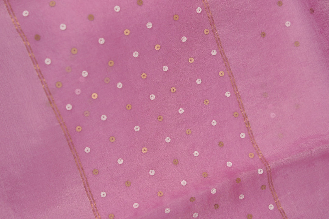 Tussar Organza Salwar TSS5599
