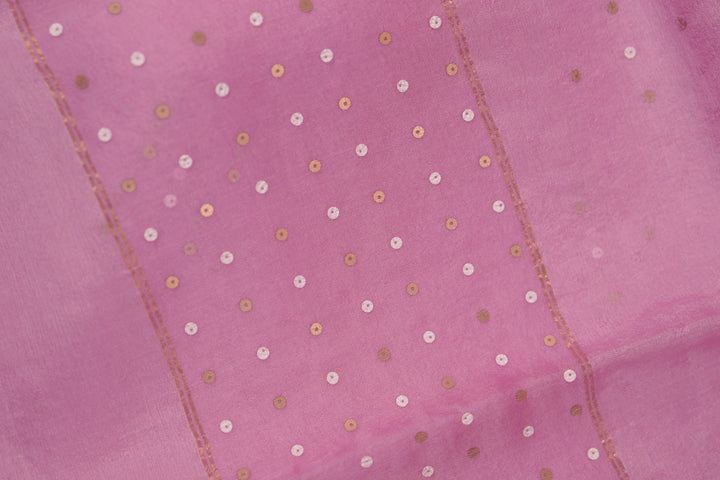Tussar Organza Salwar TSS5599