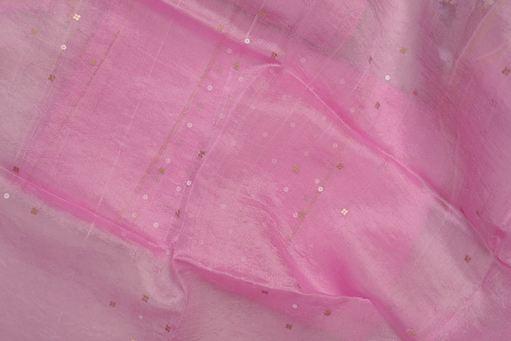 Tussar Organza Salwar TSS5599