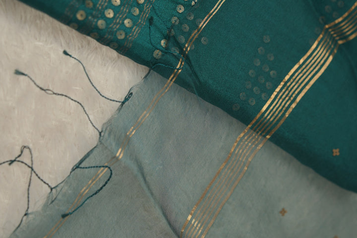 Tussar Organza Salwar TSS01110