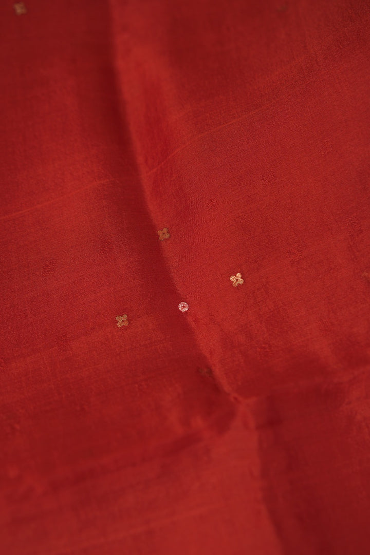 Tussar Organza Salwar TSS01113