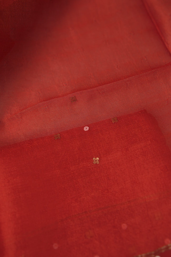 Tussar Organza Salwar TSS01113