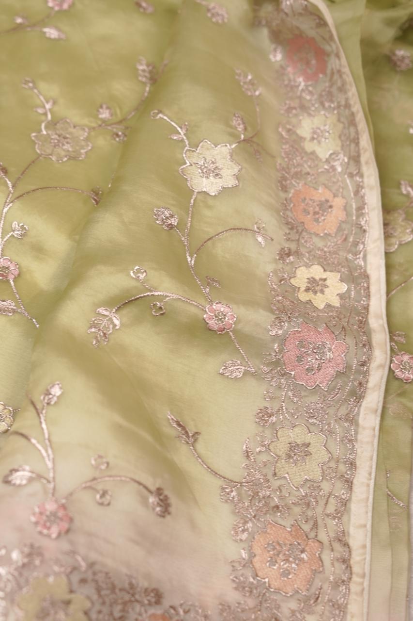 Organza Saree TSA5622