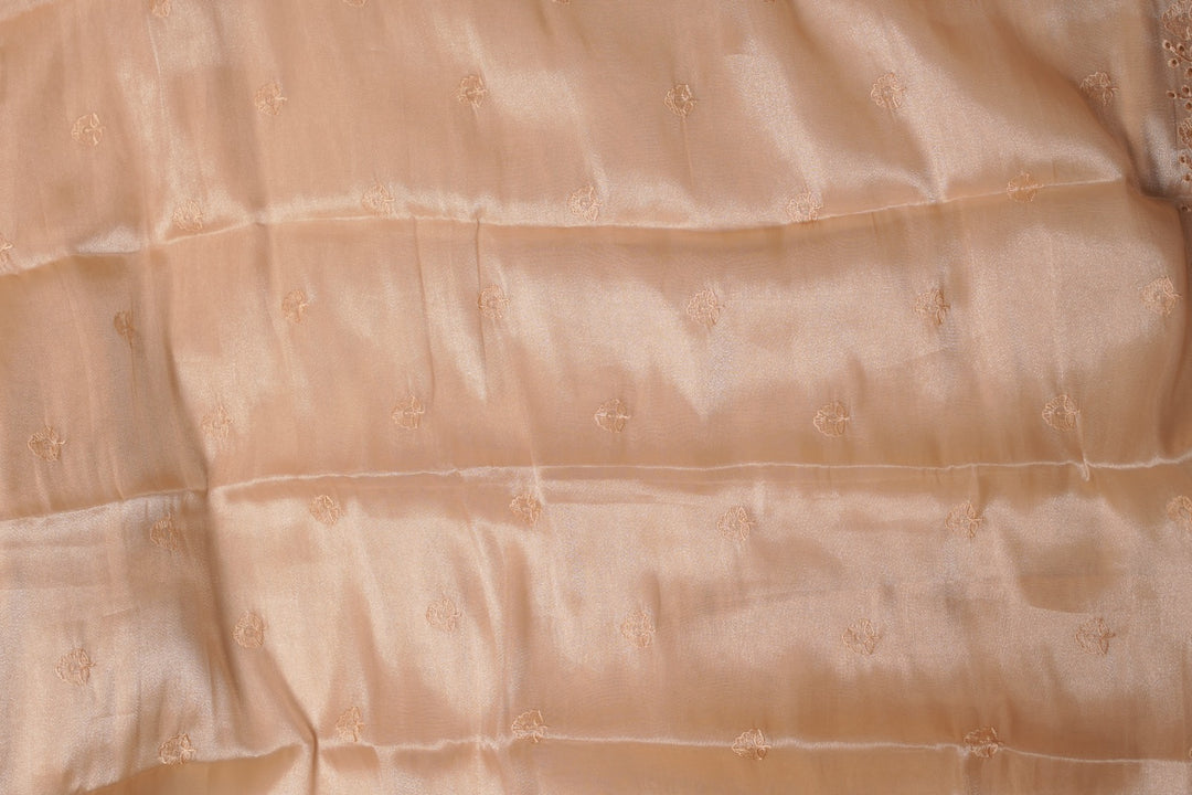 Tissue Organza Salwar TSS5623