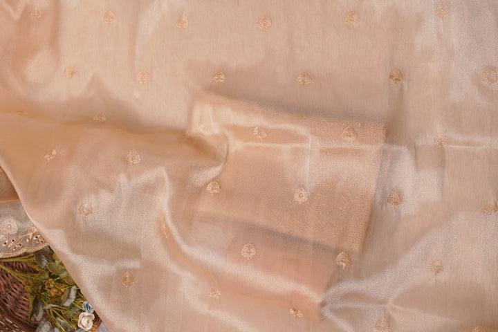 Tissue Organza Salwar TSS5623