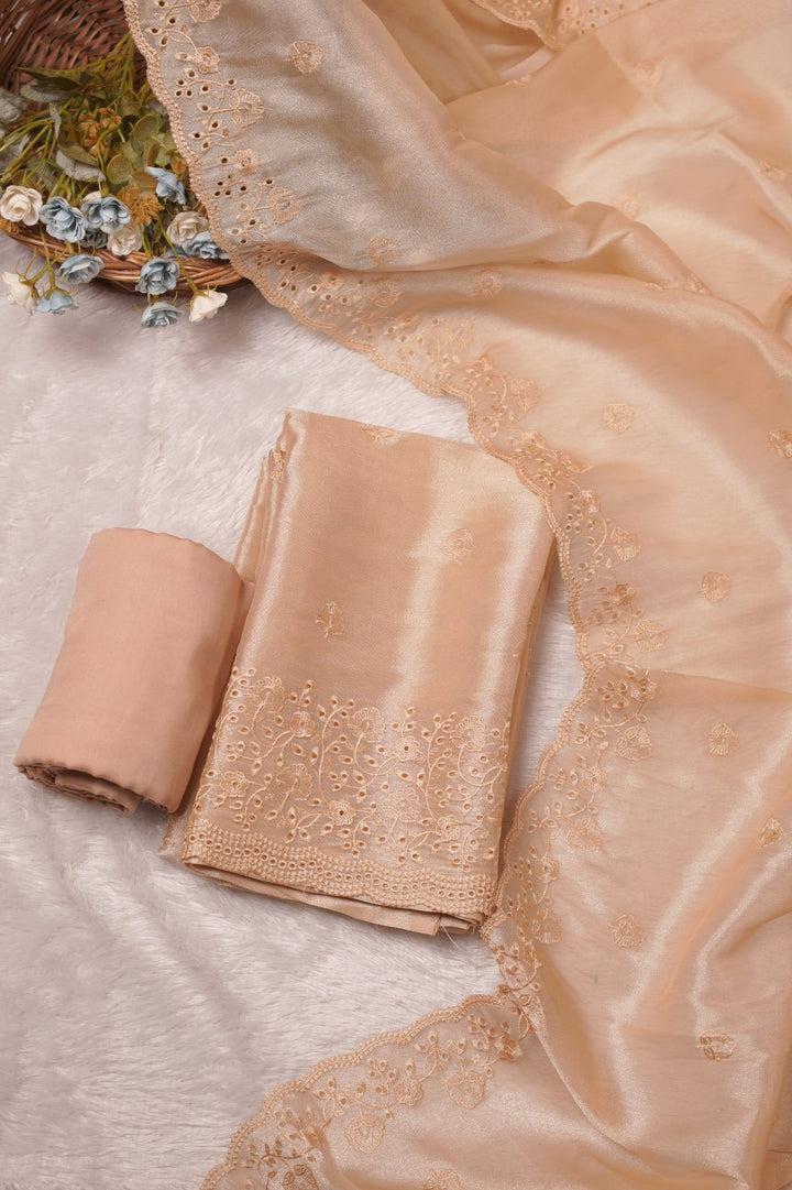 Tissue Organza Salwar TSS5623