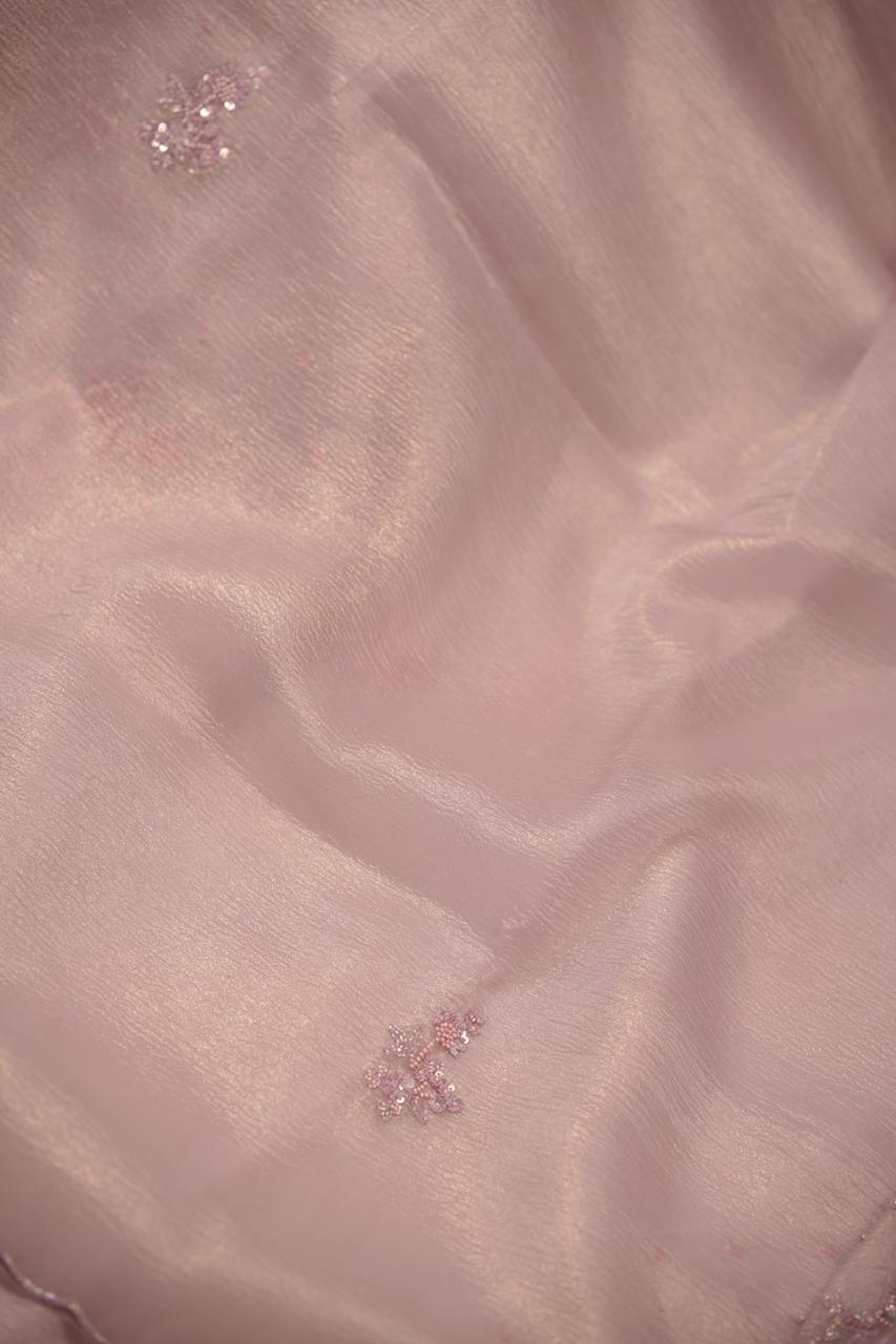 Crushed Organza Saree TSA5643