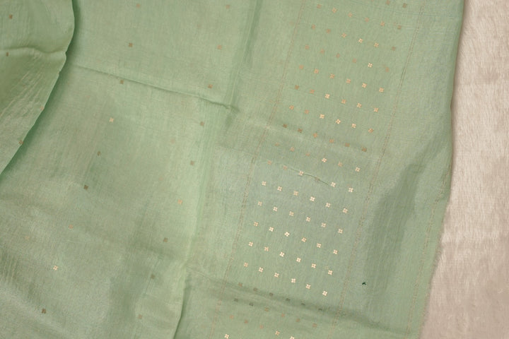 Jute Net Salwar TSS5654