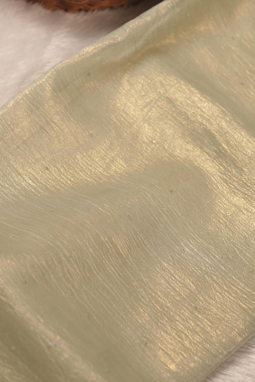 Crushed Organza Saree TSA5645