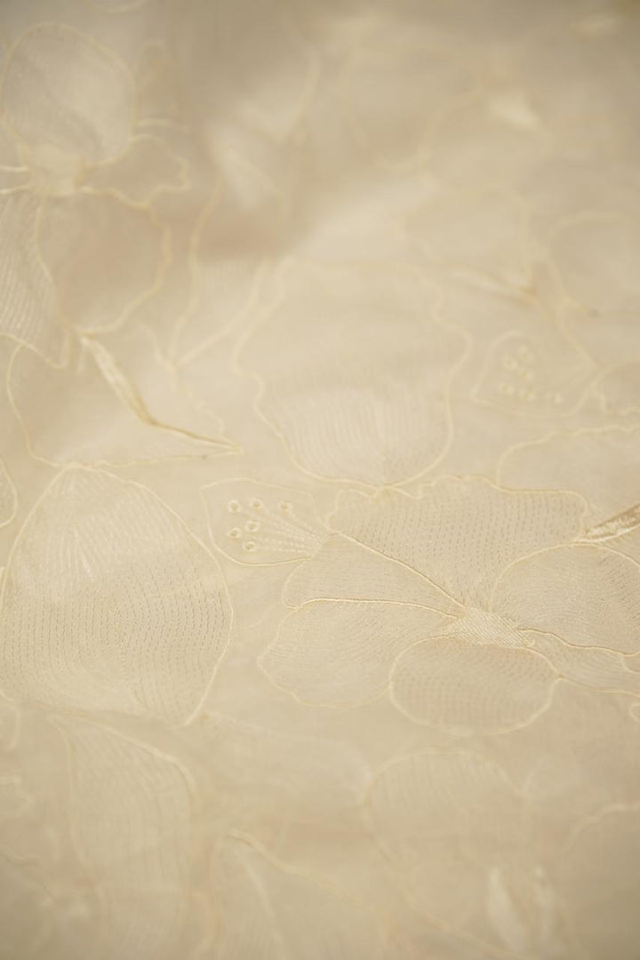 Organza Saree TSA5651