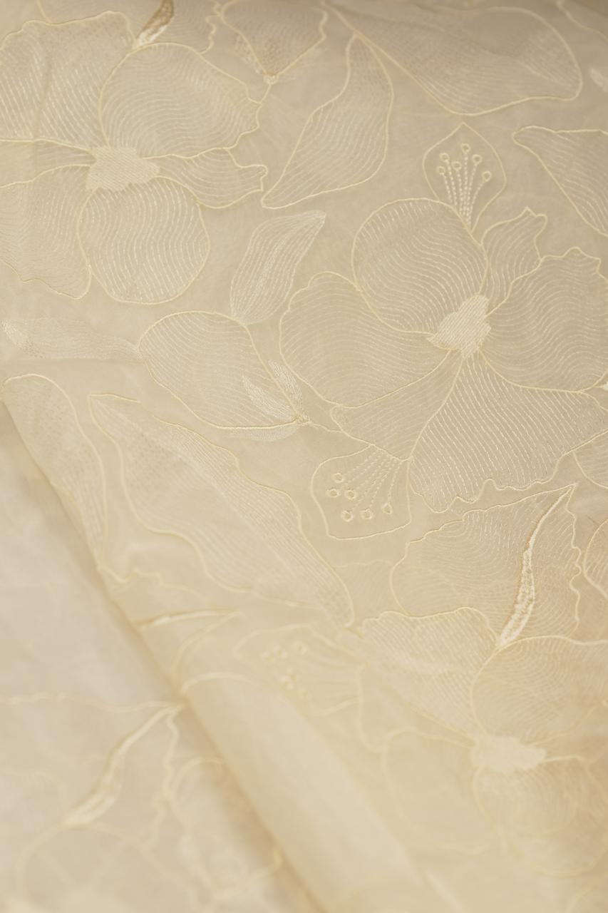 Organza Saree TSA5651