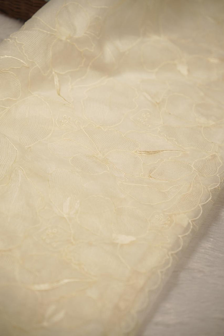 Organza Saree TSA5651