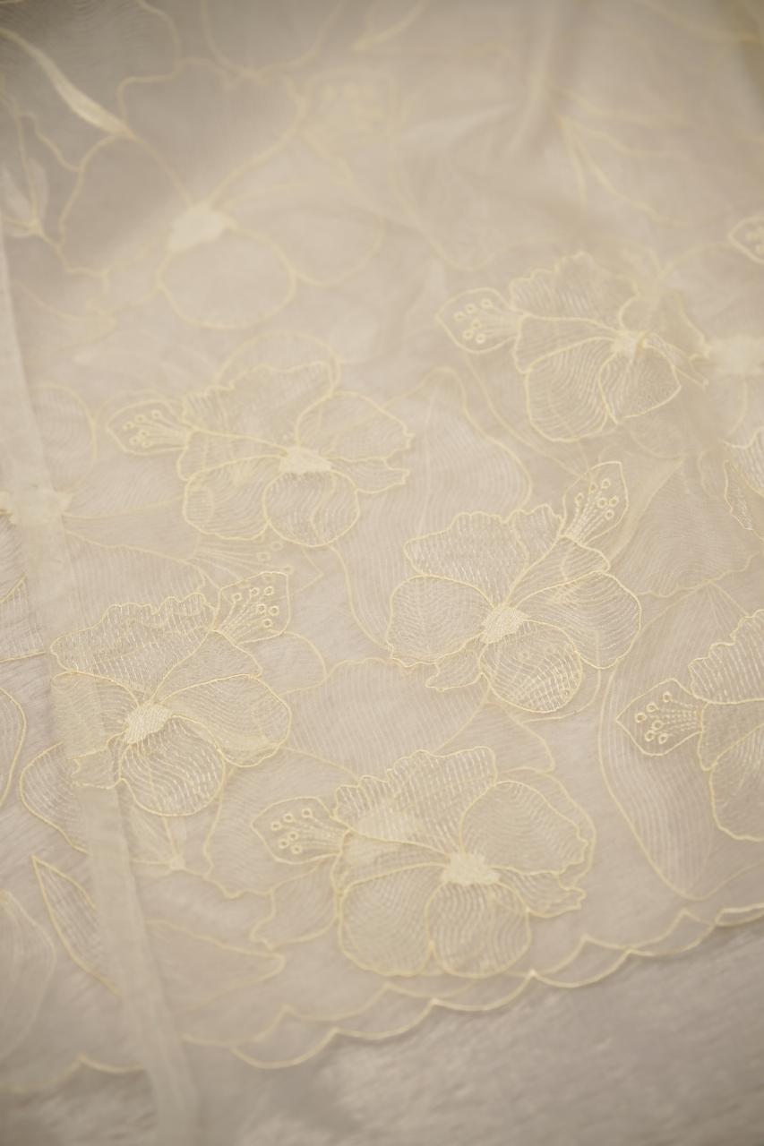 Organza Saree TSA5651