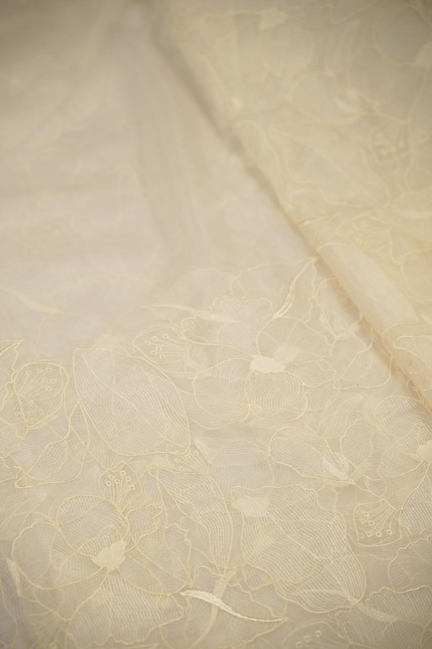 Organza Saree TSA5651