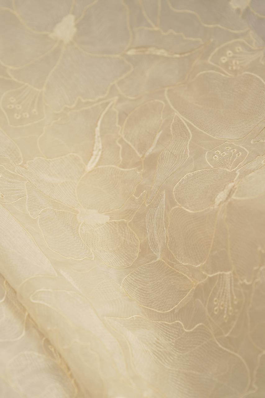 Organza Saree TSA5651