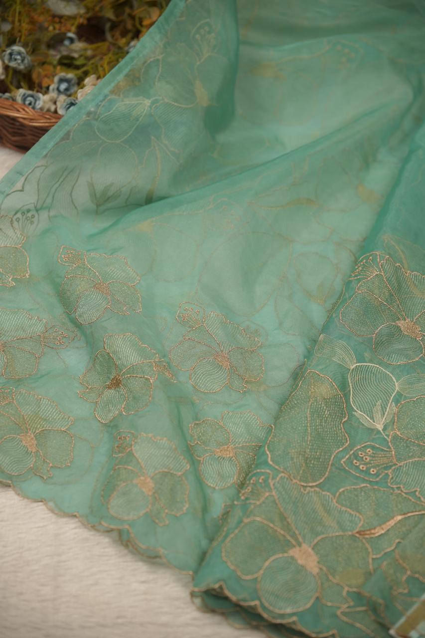 Organza Saree TSA5651