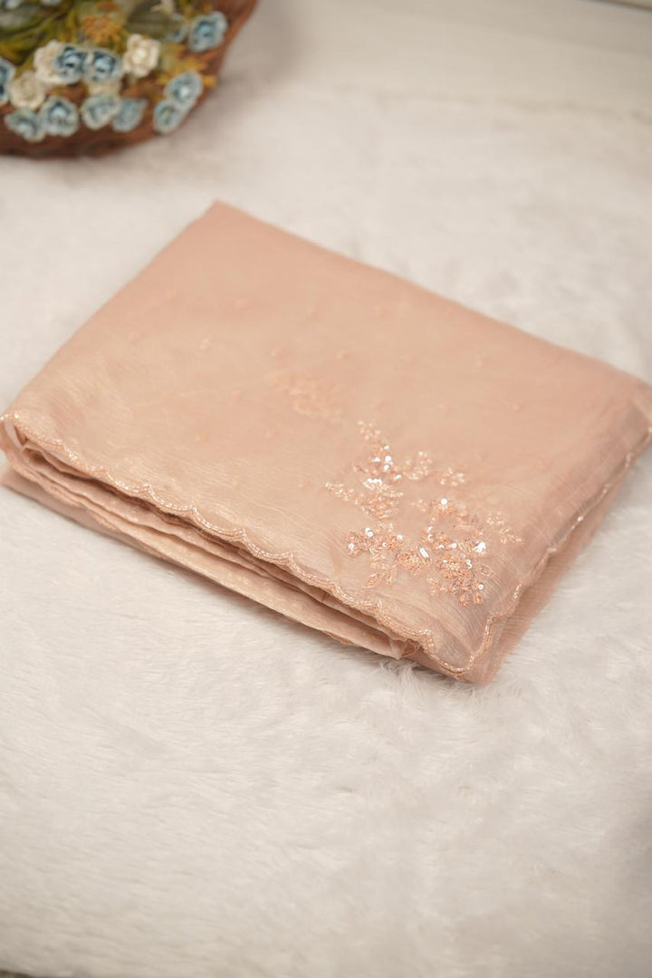 Crushed Organza Saree TSA5653