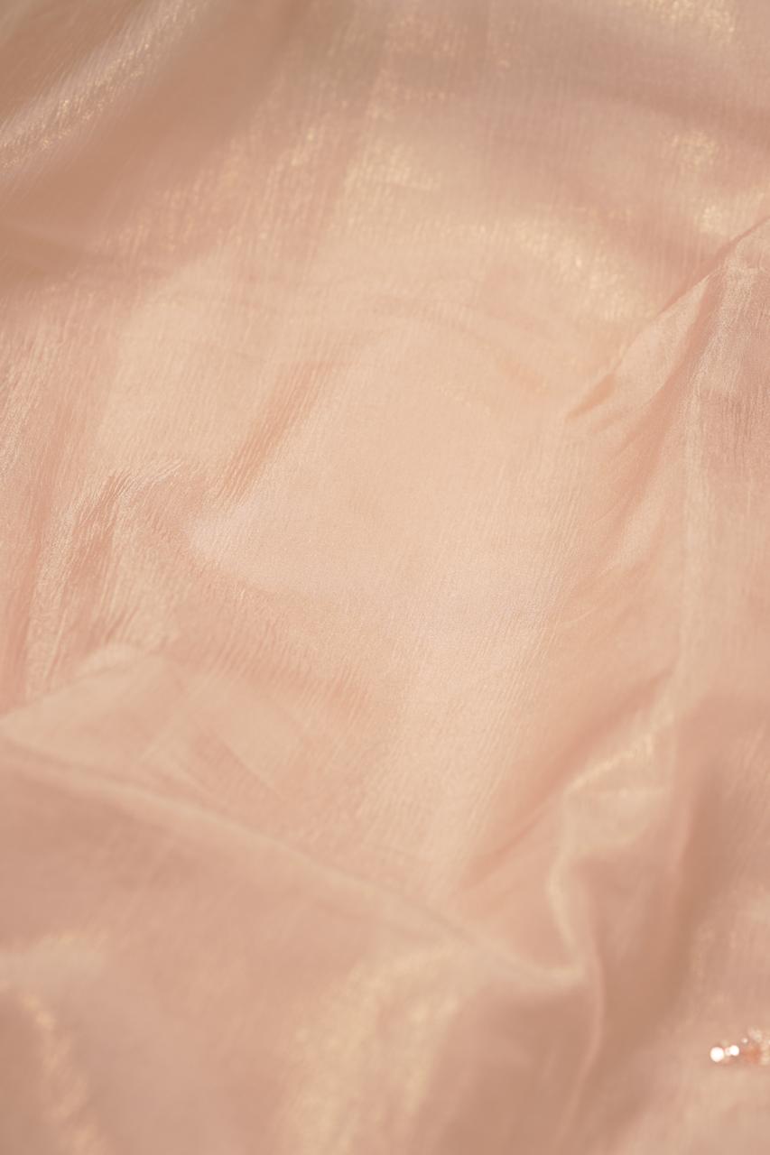 Crushed Organza Saree TSA5653
