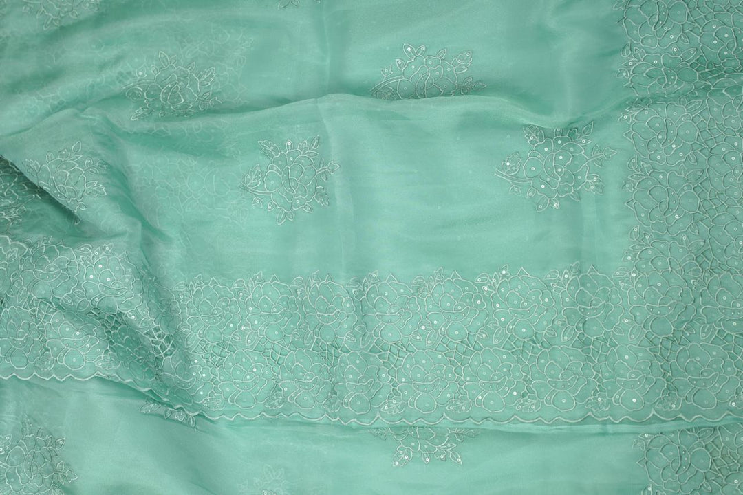 Organza Saree TSA5661