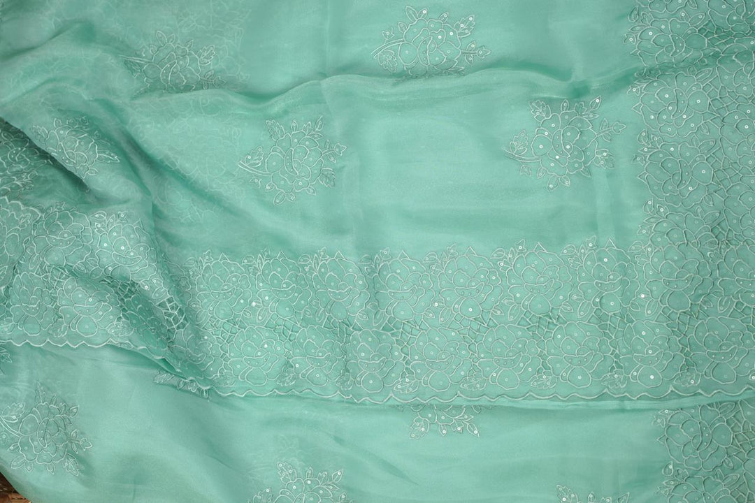Organza Saree TSA5661