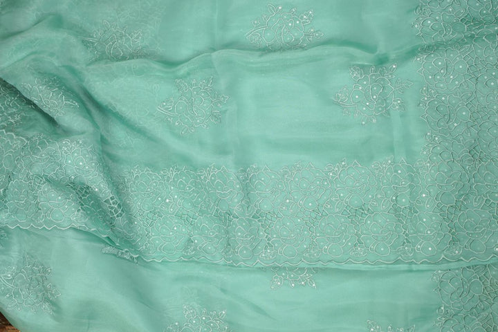 Organza Saree TSA5661