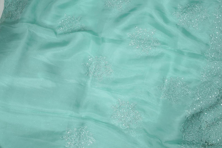 Organza Saree TSA5661