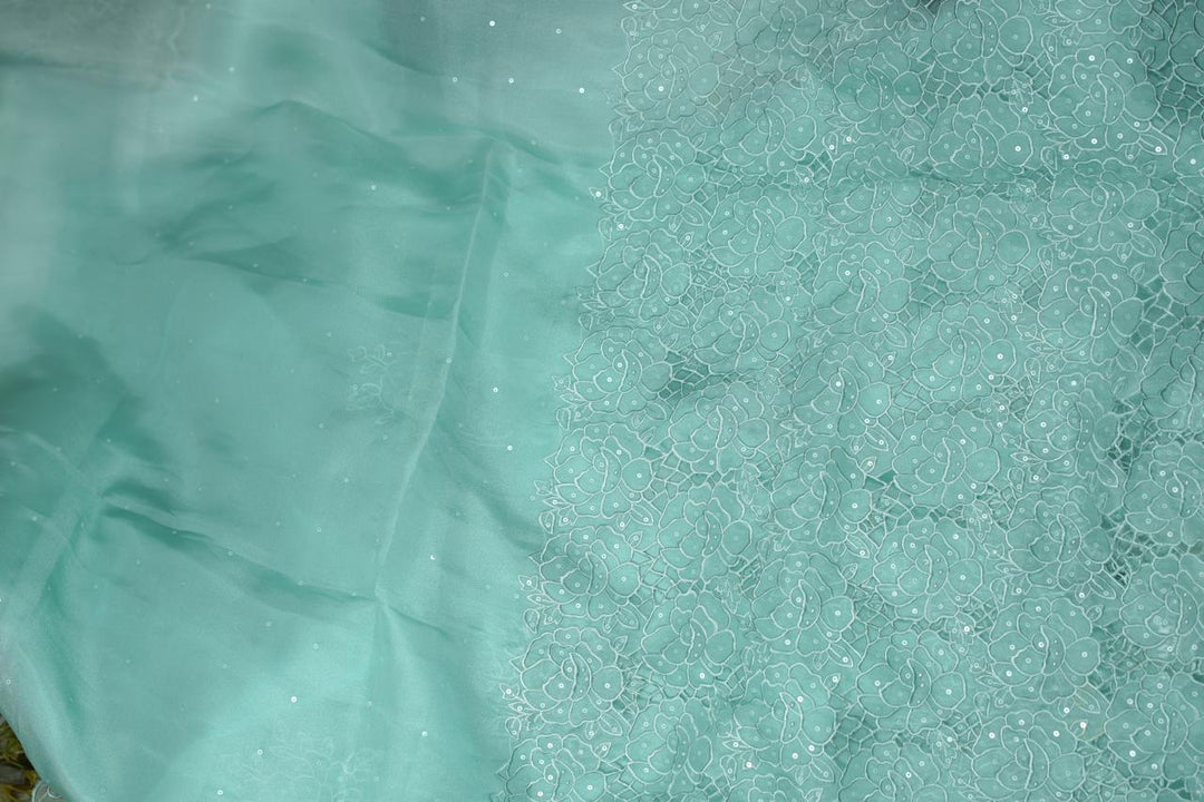 Organza Saree TSA5661