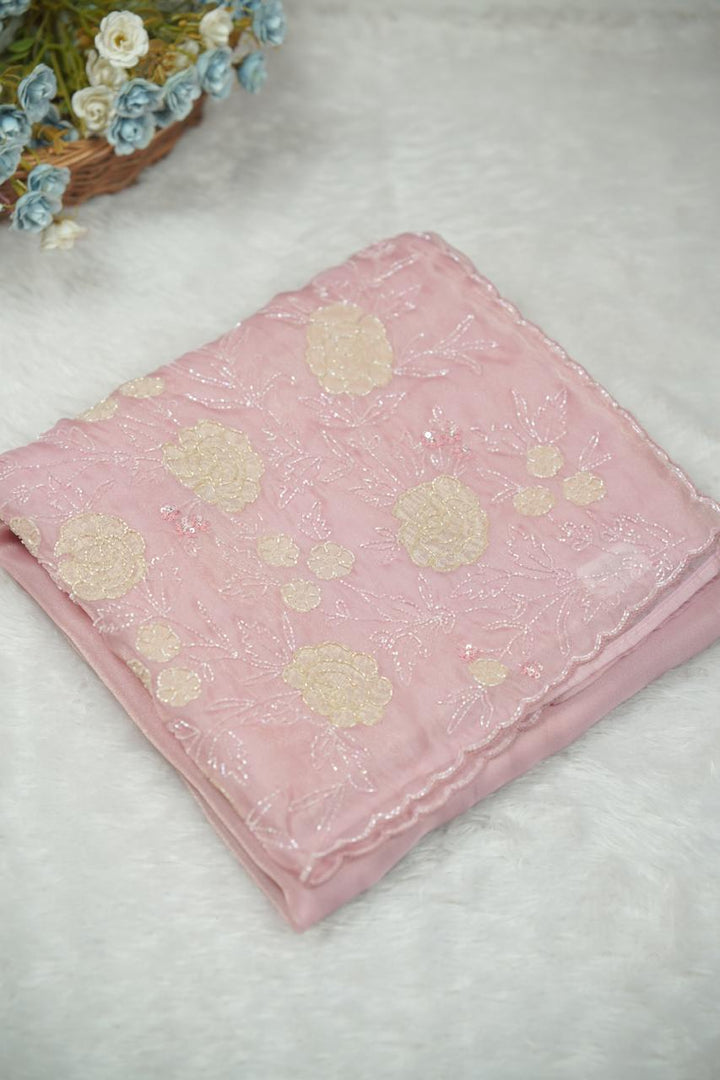 Shimmer Organza Saree TSA5664