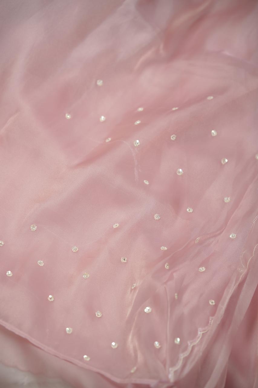 Shimmer Organza Saree TSA5664