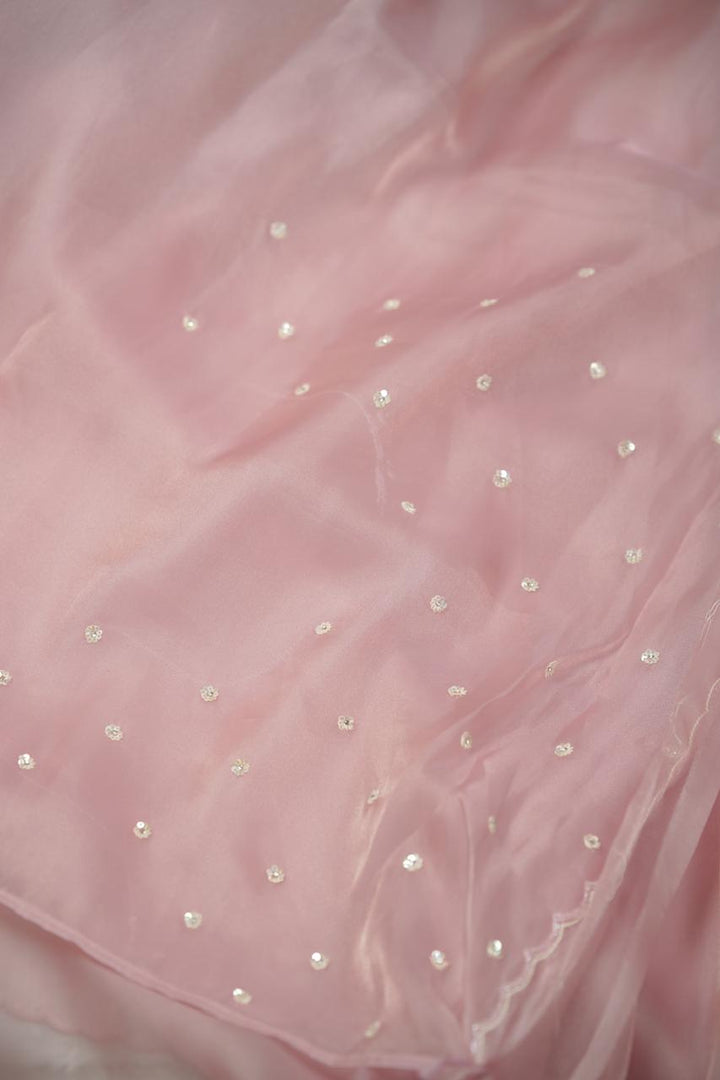 Shimmer Organza Saree TSA5664