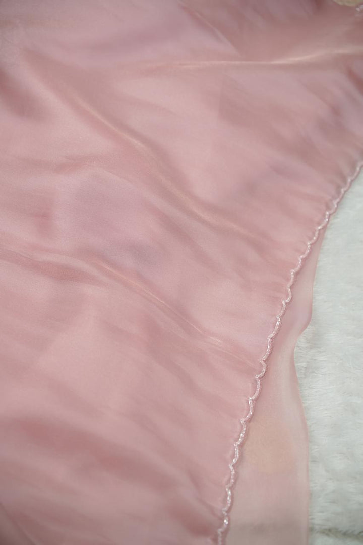 Shimmer Organza Saree TSA5664