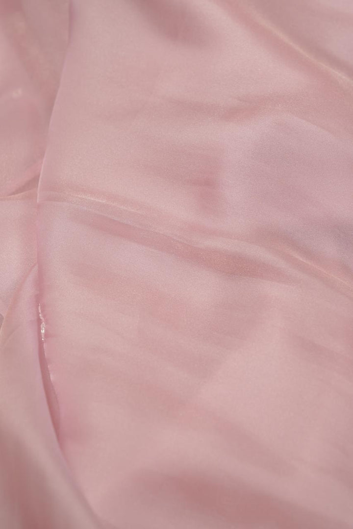 Shimmer Organza Saree TSA5664