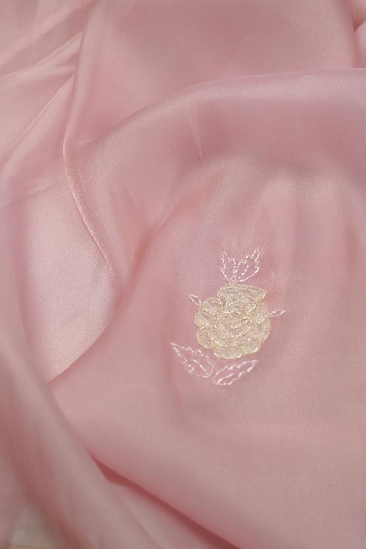 Shimmer Organza Saree TSA5664