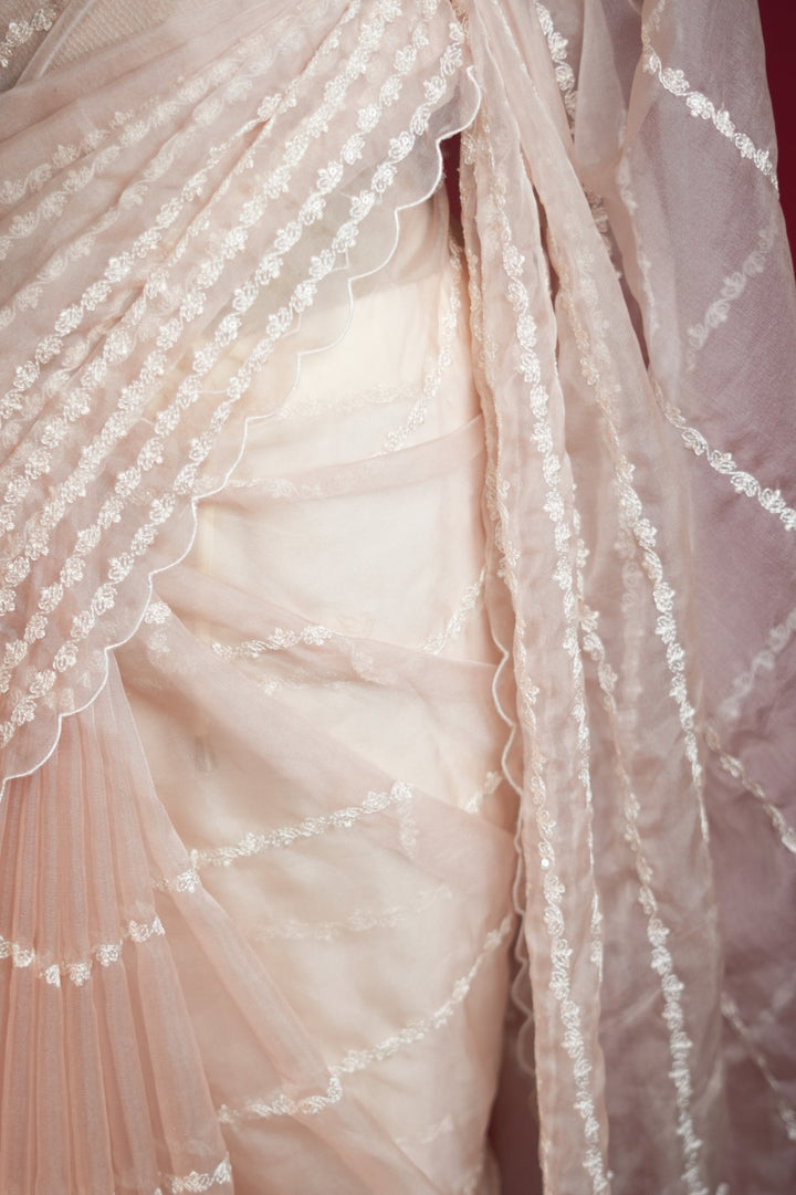 Organza Saree TPSA1023