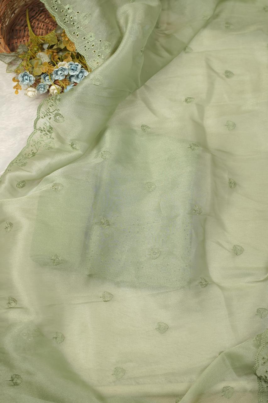 Tissue Organza Salwar TSS5668