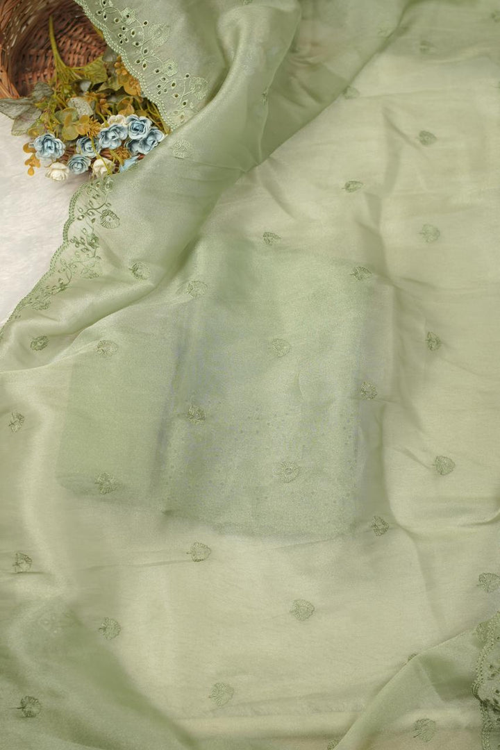 Tissue Organza Salwar TSS5668