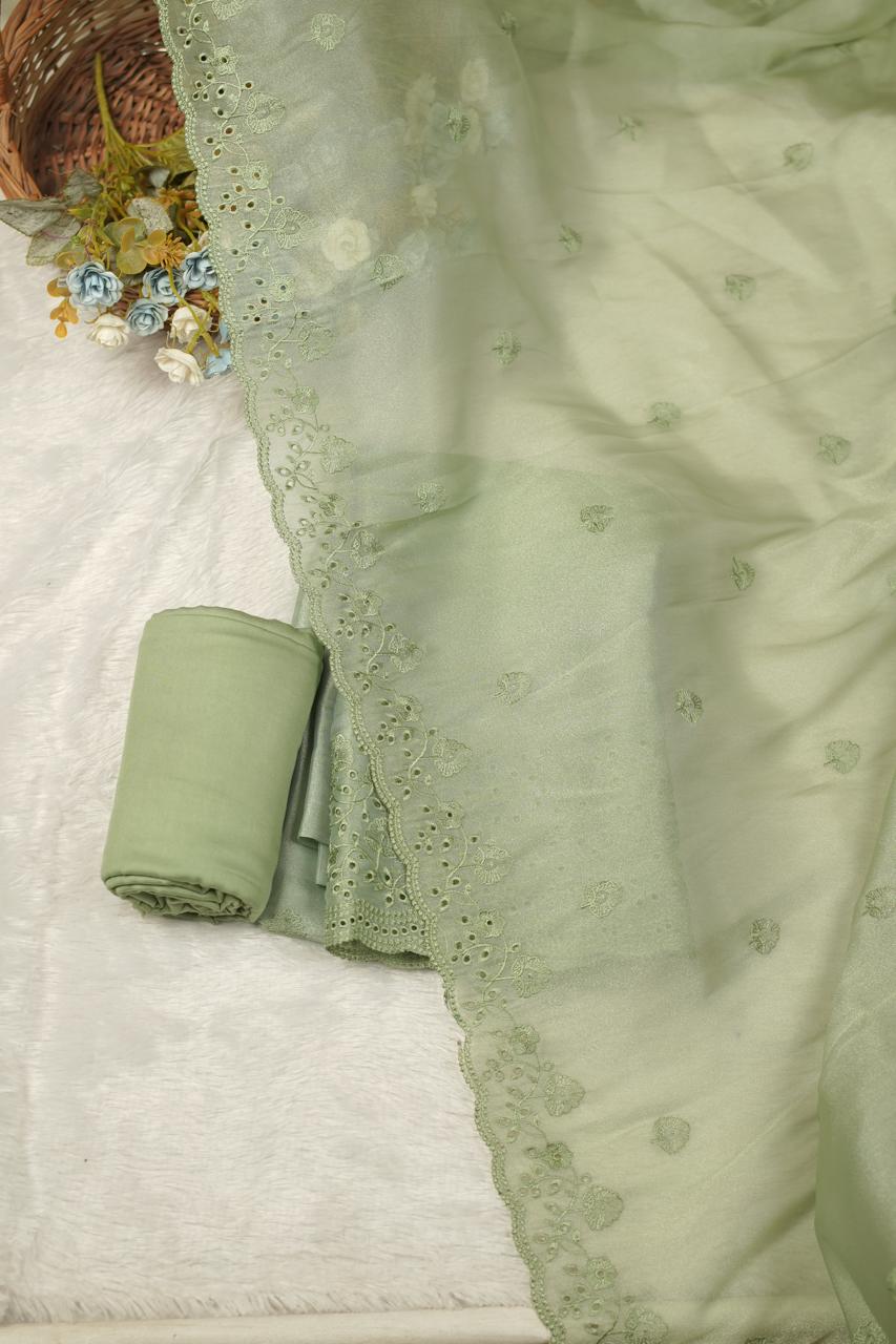 Tissue Organza Salwar TSS5668