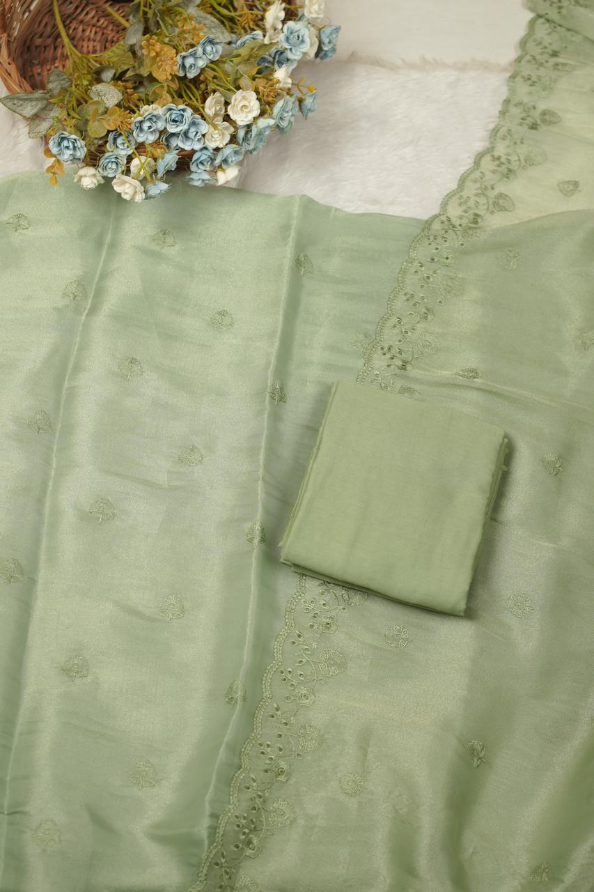 Tissue Organza Salwar TSS5668