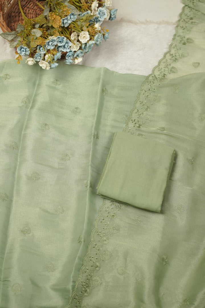 Tissue Organza Salwar TSS5668