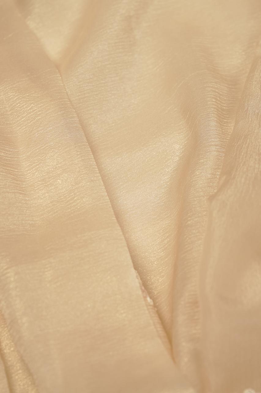 Crushed Organza Saree TSA5672