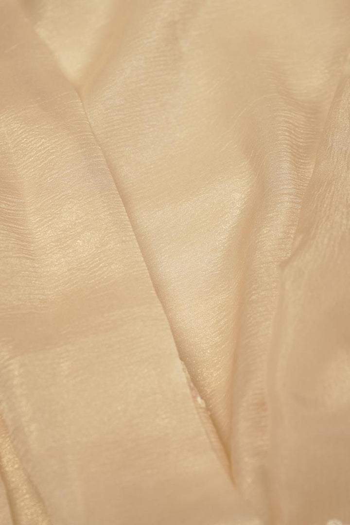 Crushed Organza Saree TSA5672