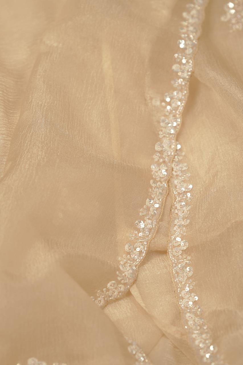 Crushed Organza Saree TSA5672