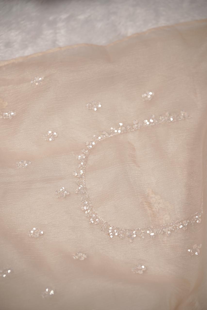 Crushed Organza Saree TSA5672