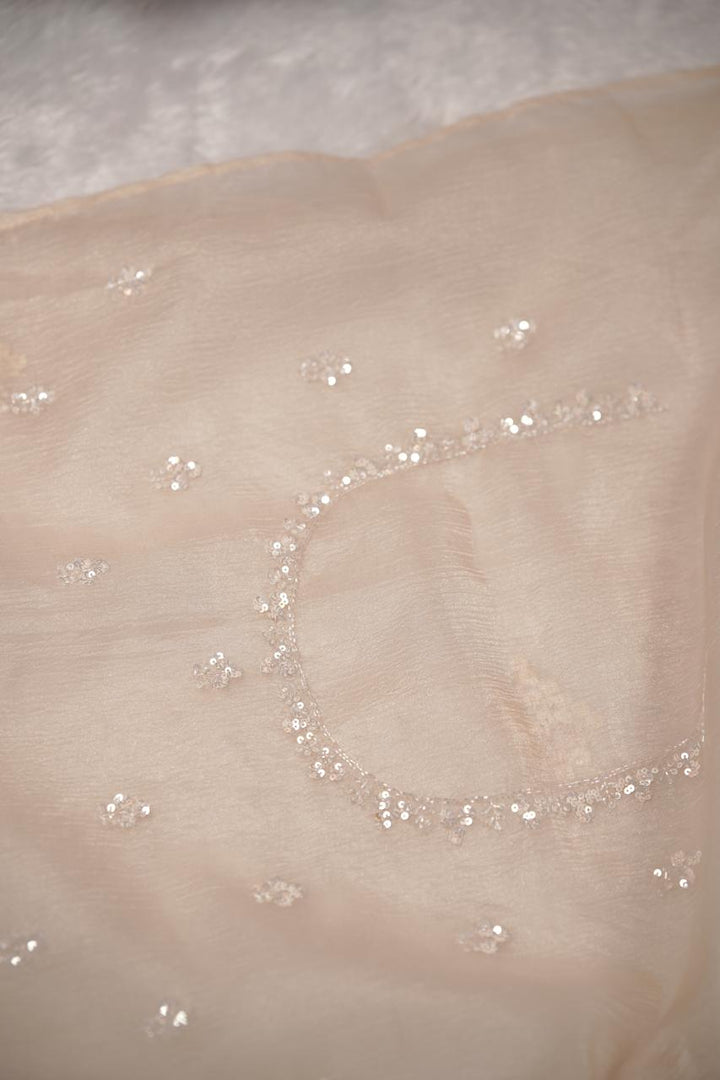 Crushed Organza Saree TSA5672