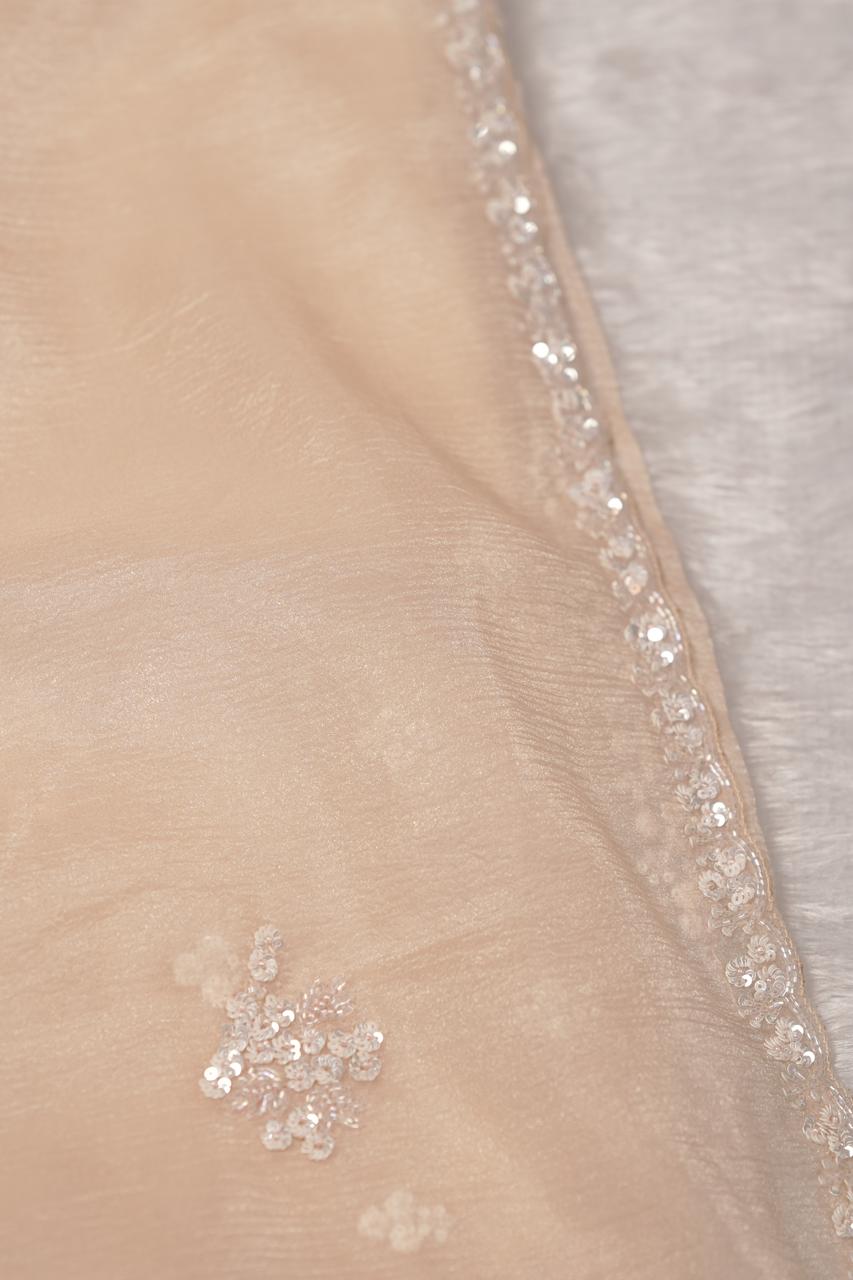 Crushed Organza Saree TSA5672