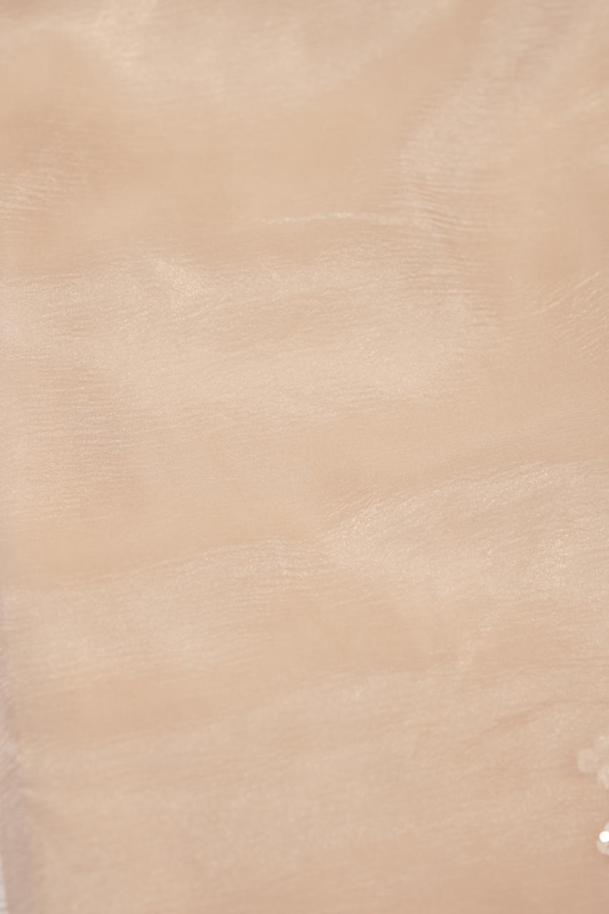 Crushed Organza Saree TSA5672