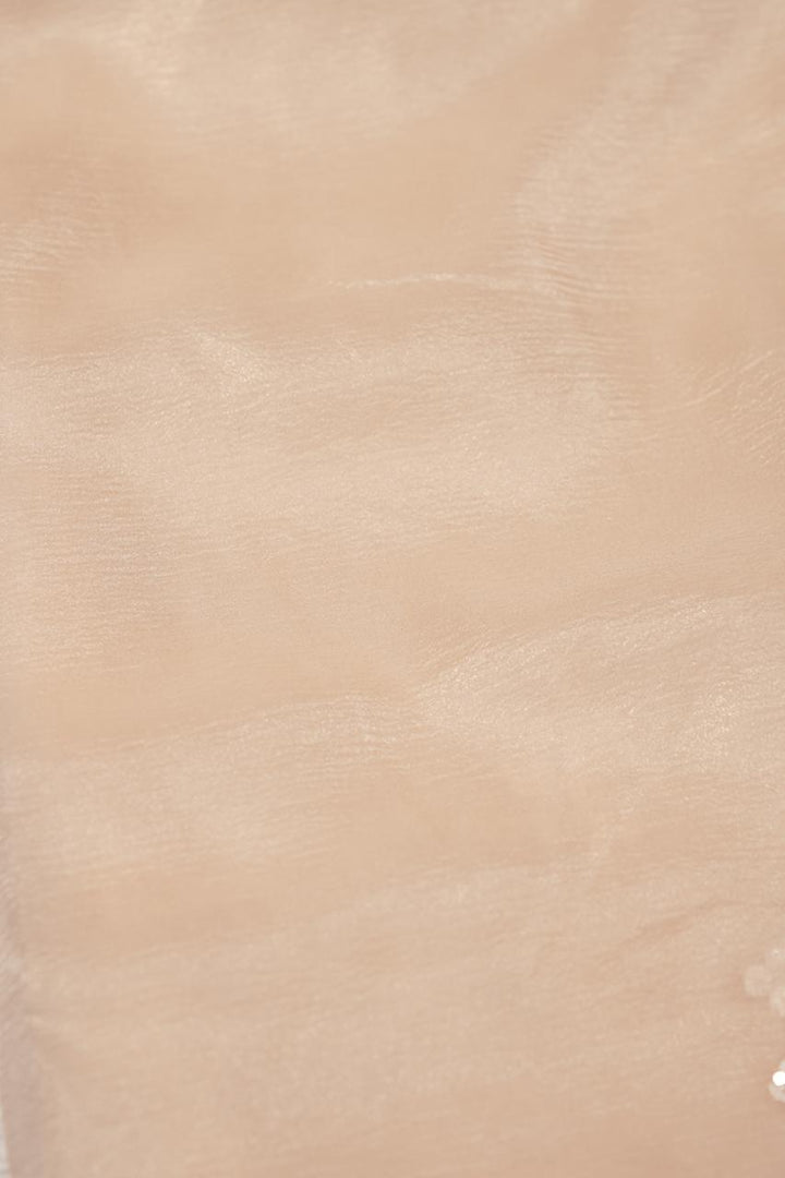 Crushed Organza Saree TSA5672