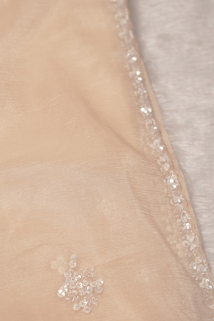 Crushed Organza Saree TSA5672