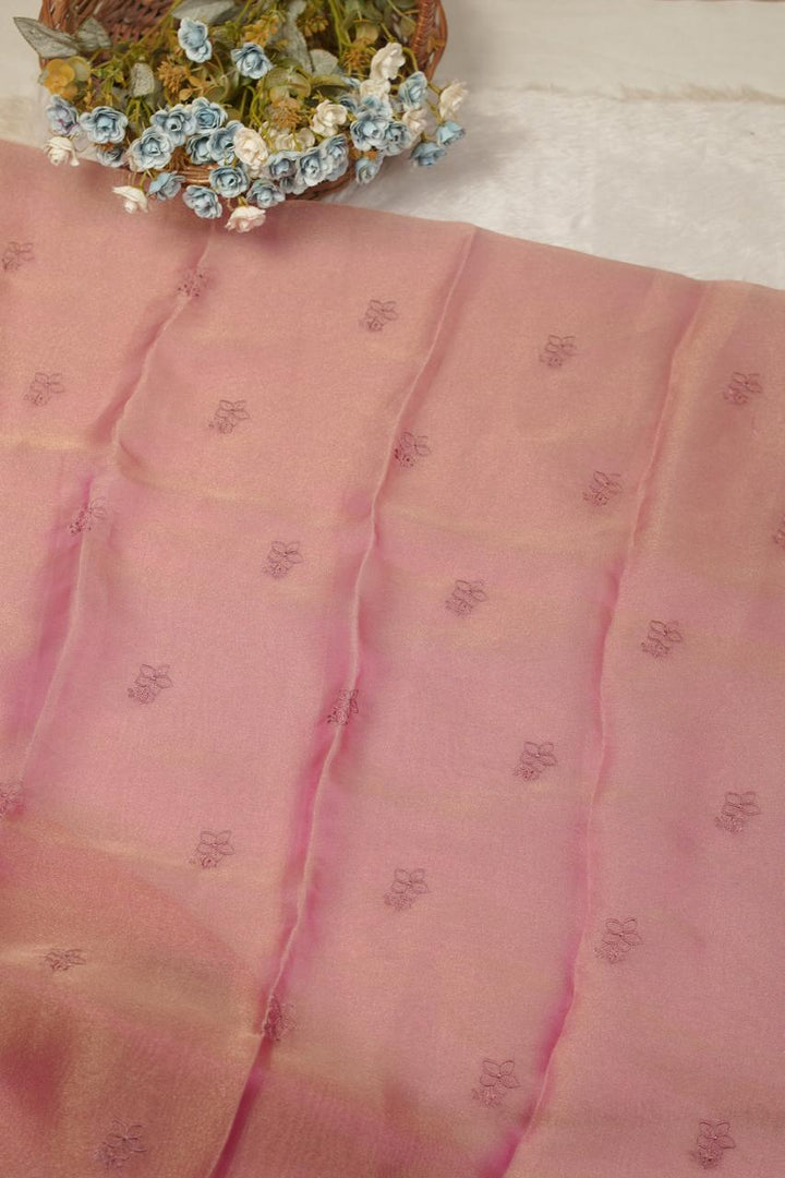 Tissue Organza Salwar TSS5673